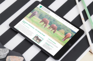 Housatonic Bloodstock