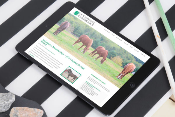 Housatonic Bloodstock